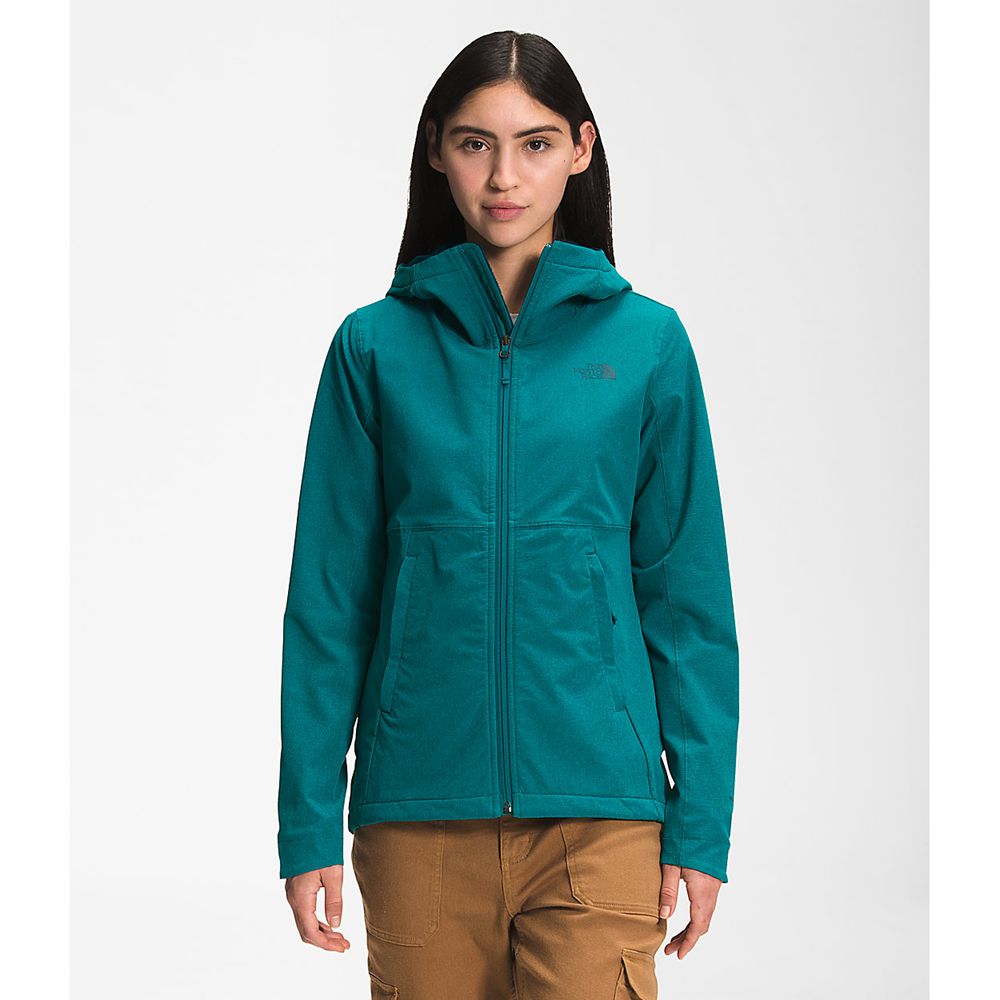 The North Face Hooded Jacket Womens Australia - The North Face Shelbe Raschel Blue (QHR-853412)